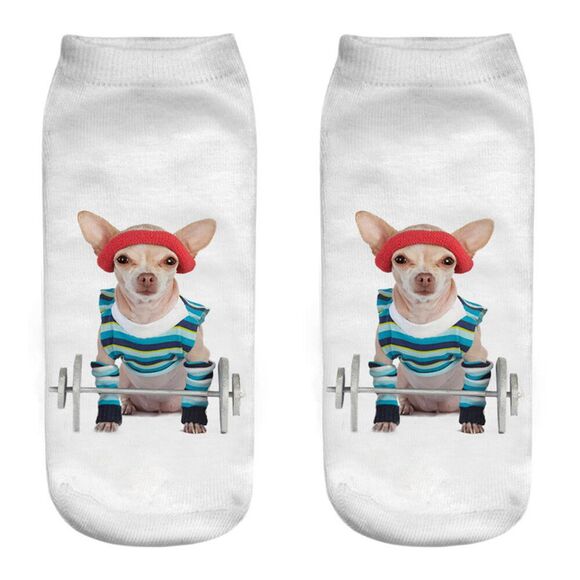 Unbranded Other - Girl Teen Socks Chihuahua Dog Weight Lifting Whimsical Read Size New Free Ship